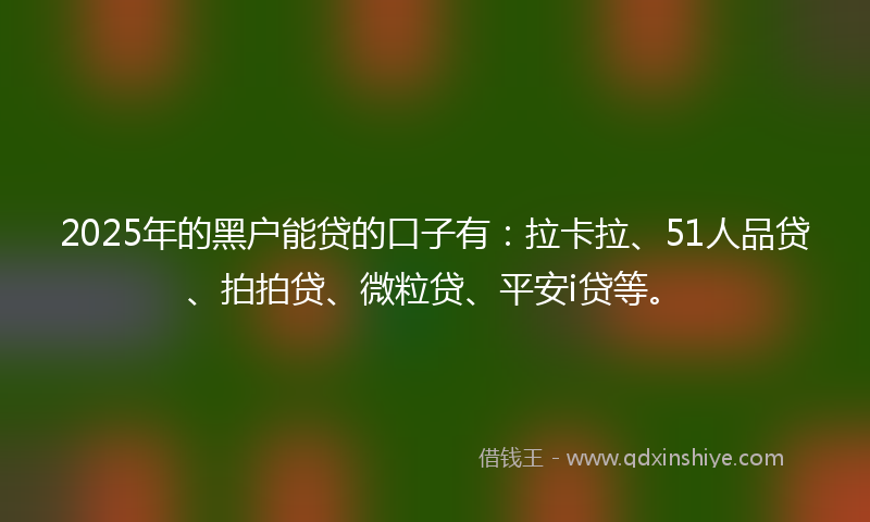 2025年的黑户能贷的口子有：拉卡拉、51人品贷、拍拍贷、微粒贷、平安i贷等。