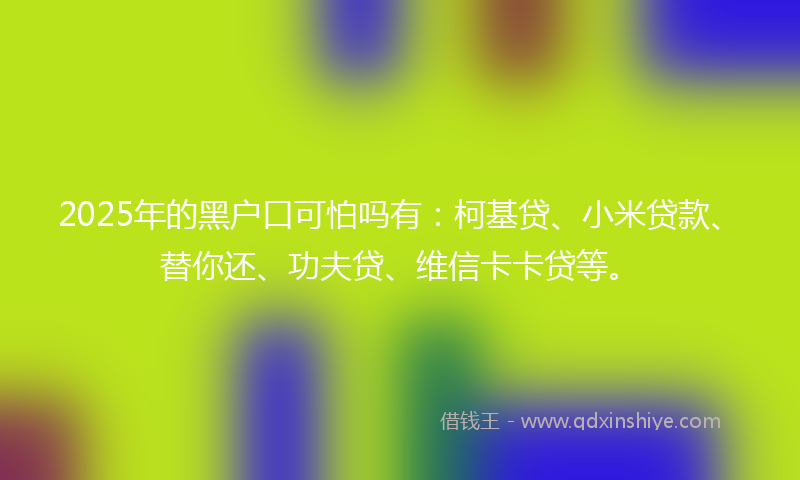 2025年的黑户口可怕吗有：柯基贷、小米贷款、替你还、功夫贷、维信卡卡贷等。