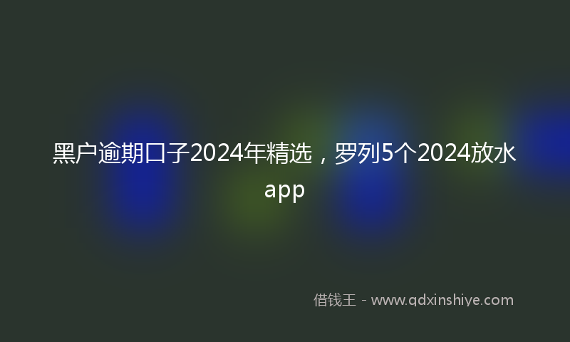 黑户逾期口子2024年精选，罗列5个2024放水app