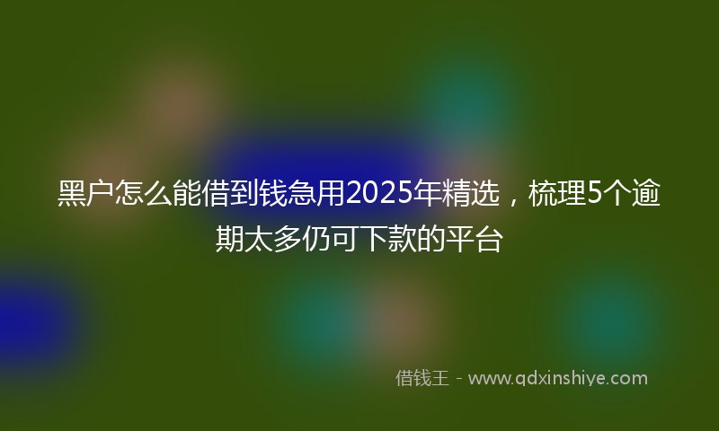 黑户怎么能借到钱急用2025年精选，梳理5个逾期太多仍可下款的平台