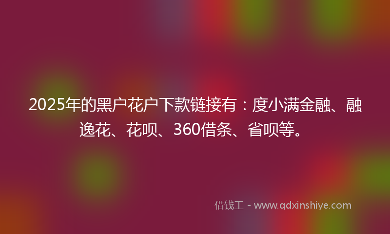 2025年的黑户花户下款链接有：度小满金融、融逸花、花呗、360借条、省呗等。