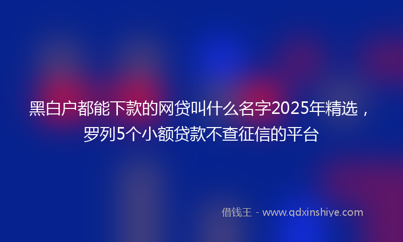 黑白户都能下款的网贷叫什么名字2025年精选，罗列5个小额贷款不查征信的平台