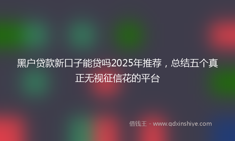 黑户贷款新口子能贷吗2025年推荐，总结五个真正无视征信花的平台