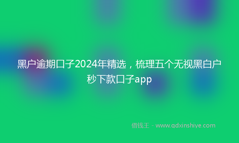 黑户逾期口子2024年精选，梳理五个无视黑白户秒下款口子app