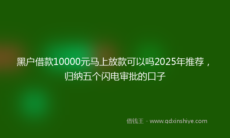 黑户借款10000元马上放款可以吗2025年推荐，归纳五个闪电审批的口子