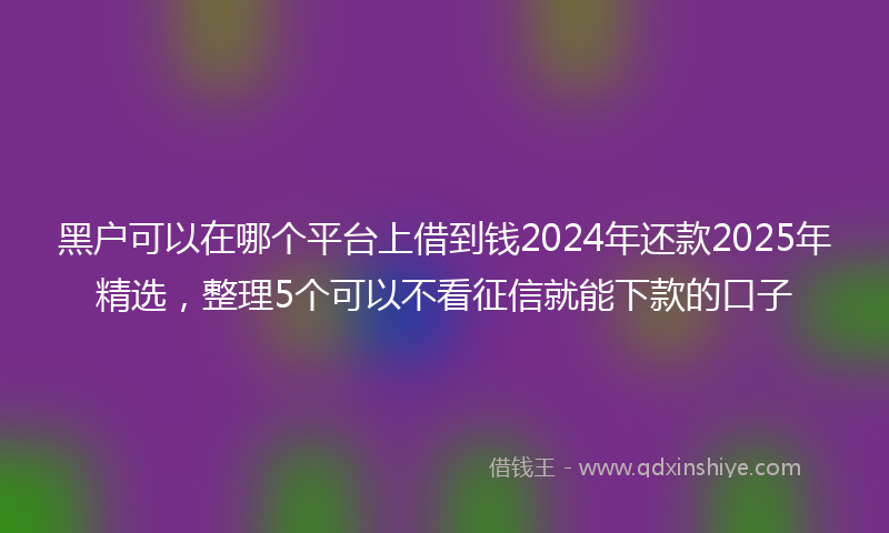 黑户可以在哪个平台上借到钱2024年还款2025年精选，整理5个可以不看征信就能下款的口子