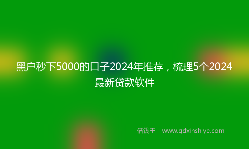 黑户秒下5000的口子2024年推荐，梳理5个2024最新贷款软件