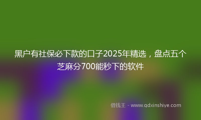 黑户有社保必下款的口子2025年精选，盘点五个芝麻分700能秒下的软件
