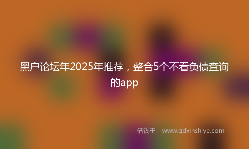 黑户论坛年2025年推荐，整合5个不看负债查询的app