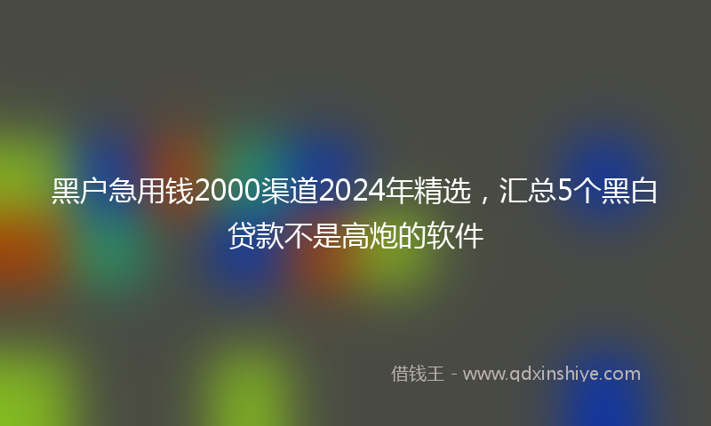 黑户急用钱2000渠道2024年精选，汇总5个黑白贷款不是高炮的软件