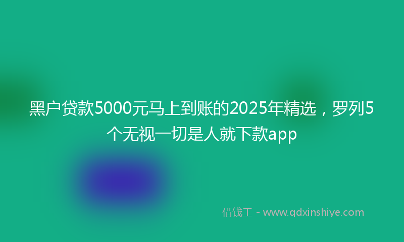 黑户贷款5000元马上到账的2025年精选，罗列5个无视一切是人就下款app