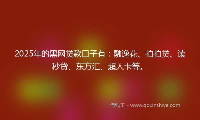 2025年的黑网贷款口子有：融逸花、拍拍贷、读秒贷、东方汇、超人卡等。