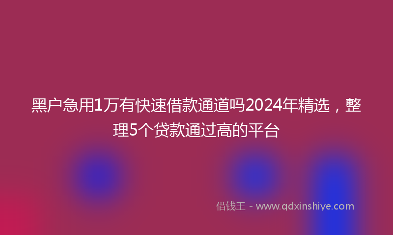黑户急用1万有快速借款通道吗2024年精选，整理5个贷款通过高的平台