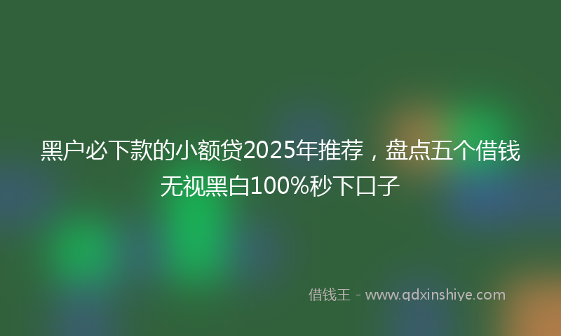 黑户必下款的小额贷2025年推荐，盘点五个借钱无视黑白100%秒下口子