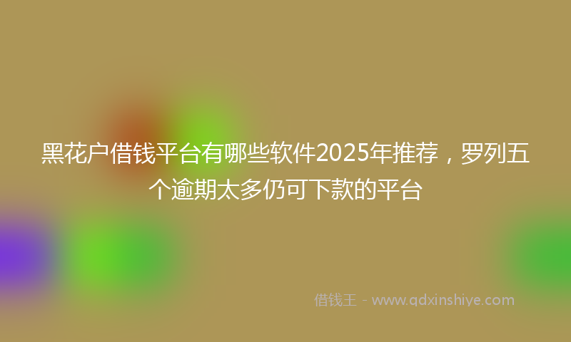黑花户借钱平台有哪些软件2025年推荐，罗列五个逾期太多仍可下款的平台