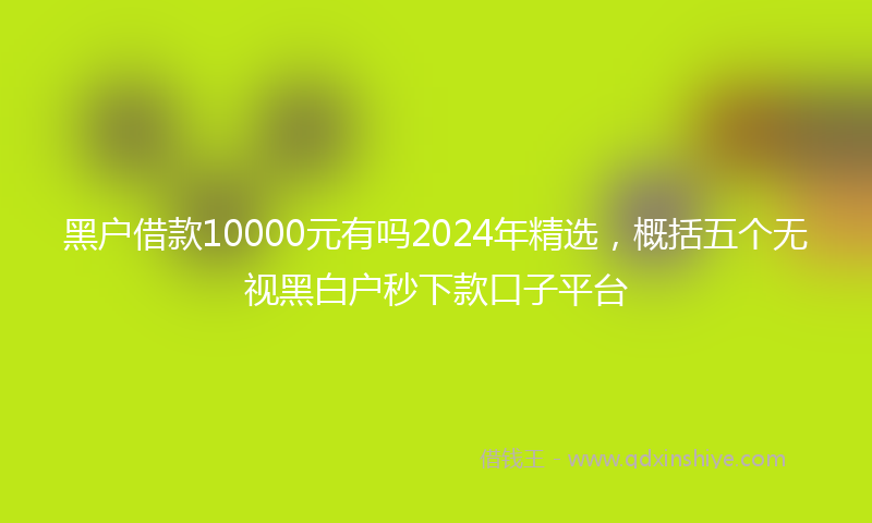 黑户借款10000元有吗2024年精选，概括五个无视黑白户秒下款口子平台