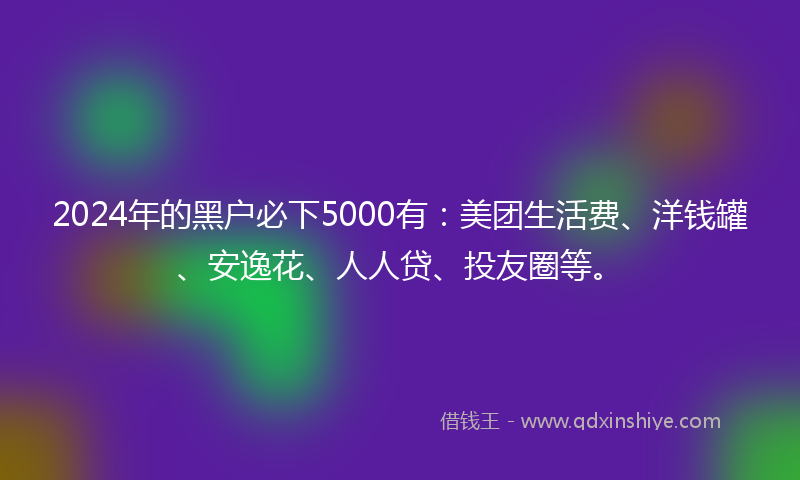 2024年的黑户必下5000有：美团生活费、洋钱罐、安逸花、人人贷、投友圈等。