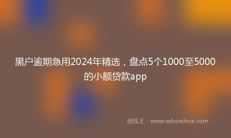 黑户逾期急用2024年精选，盘点5个1000至5000的小额贷款app