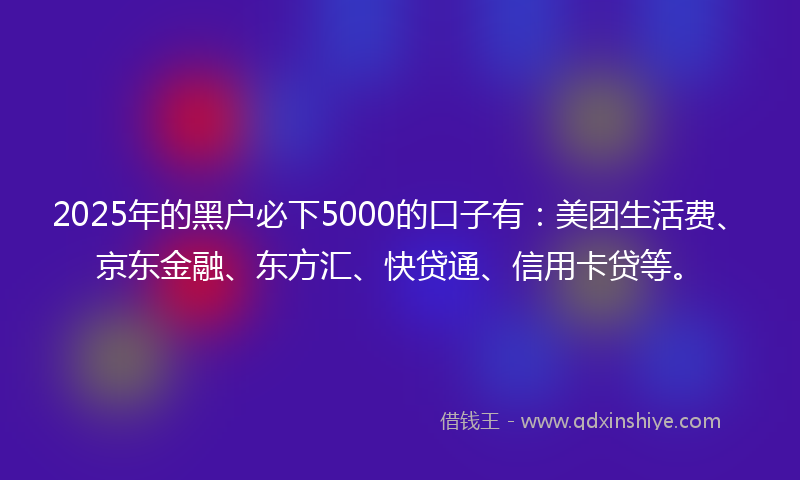 2025年的黑户必下5000的口子有：美团生活费、京东金融、东方汇、快贷通、信用卡贷等。