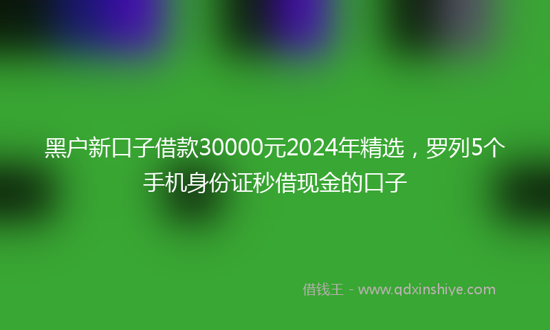 黑户新口子借款30000元2024年精选，罗列5个手机身份证秒借现金的口子