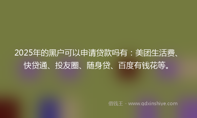 2025年的黑户可以申请贷款吗有：美团生活费、快贷通、投友圈、随身贷、百度有钱花等。