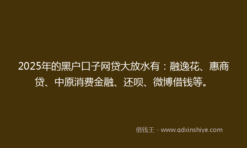 2025年的黑户口子网贷大放水有：融逸花、惠商贷、中原消费金融、还呗、微博借钱等。