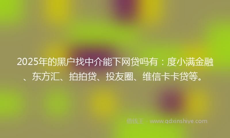 2025年的黑户找中介能下网贷吗有：度小满金融、东方汇、拍拍贷、投友圈、维信卡卡贷等。