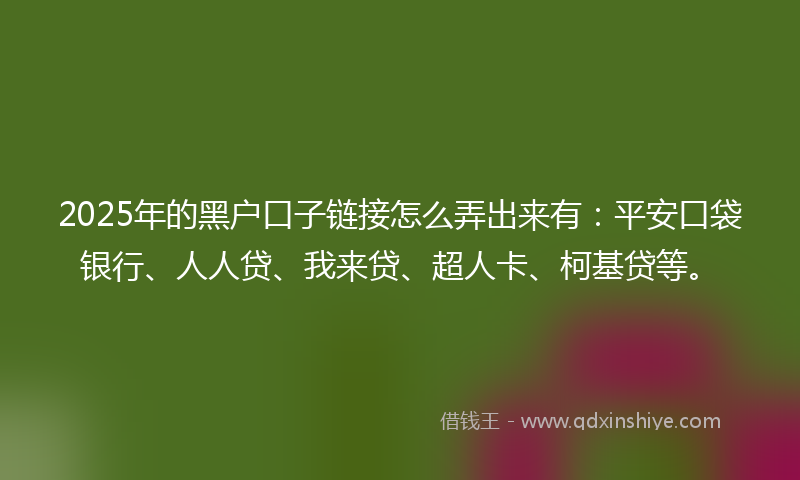 2025年的黑户口子链接怎么弄出来有：平安口袋银行、人人贷、我来贷、超人卡、柯基贷等。