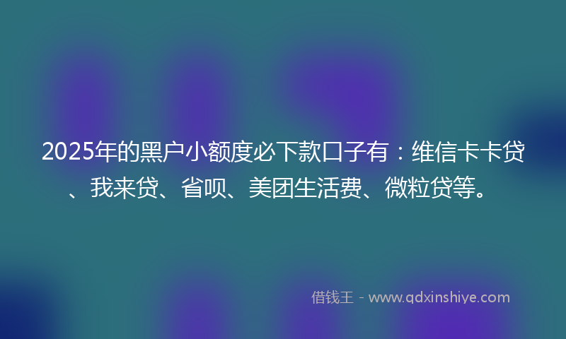 2025年的黑户小额度必下款口子有：维信卡卡贷、我来贷、省呗、美团生活费、微粒贷等。