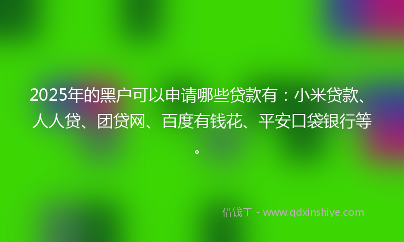 2025年的黑户可以申请哪些贷款有：小米贷款、人人贷、团贷网、百度有钱花、平安口袋银行等。