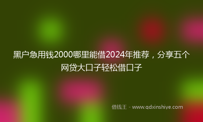 黑户急用钱2000哪里能借2024年推荐，分享五个网贷大口子轻松借口子