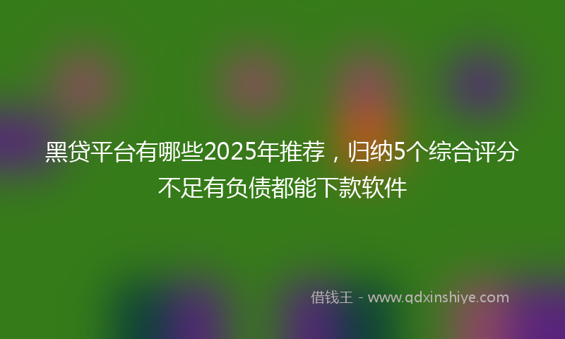 黑贷平台有哪些2025年推荐，归纳5个综合评分不足有负债都能下款软件