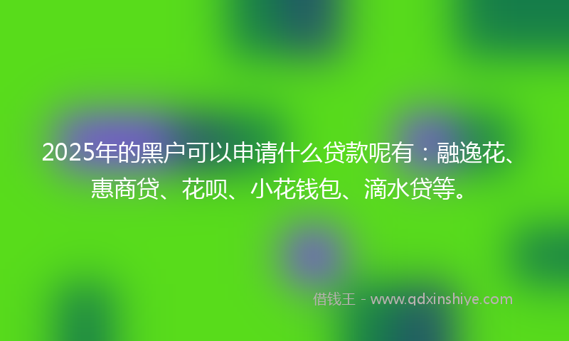 2025年的黑户可以申请什么贷款呢有：融逸花、惠商贷、花呗、小花钱包、滴水贷等。