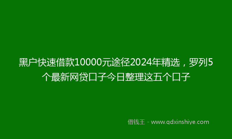 黑户快速借款10000元途径2024年精选，罗列5个最新网贷口子今日整理这五个口子