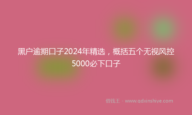 黑户逾期口子2024年精选，概括五个无视风控5000必下口子
