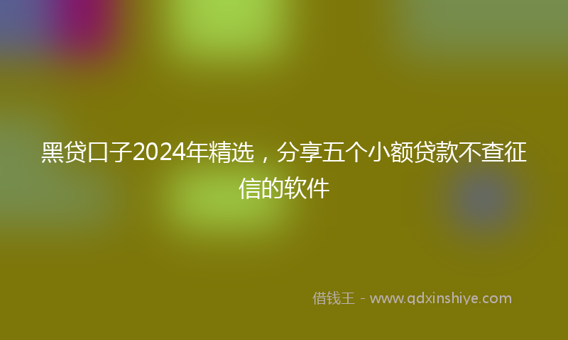 黑贷口子2024年精选，分享五个小额贷款不查征信的软件