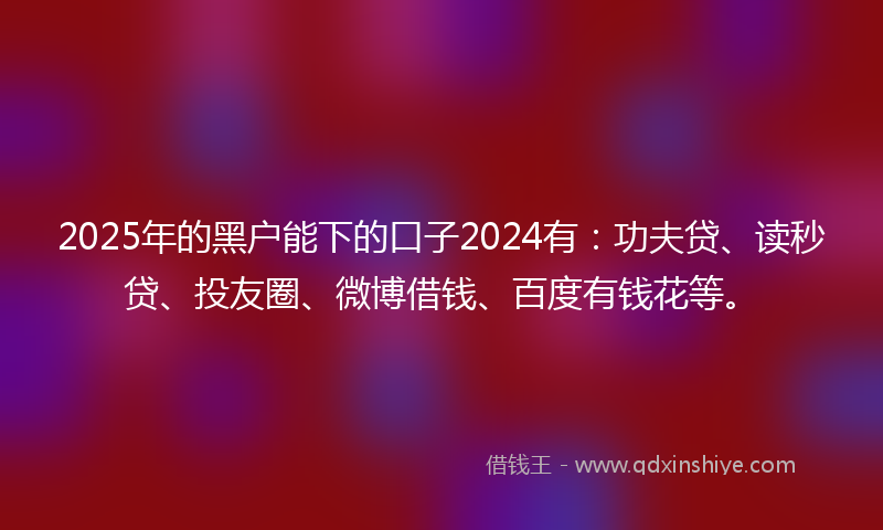 2025年的黑户能下的口子2024有：功夫贷、读秒贷、投友圈、微博借钱、百度有钱花等。