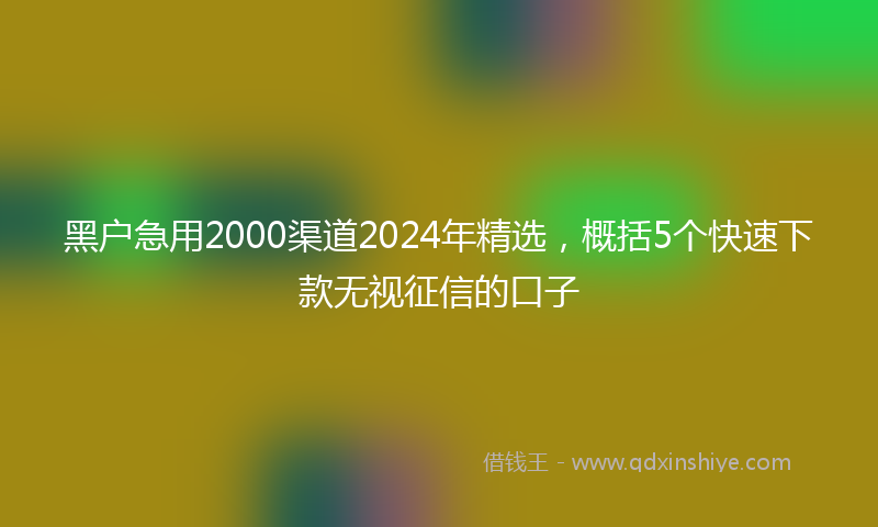 黑户急用2000渠道2024年精选，概括5个快速下款无视征信的口子