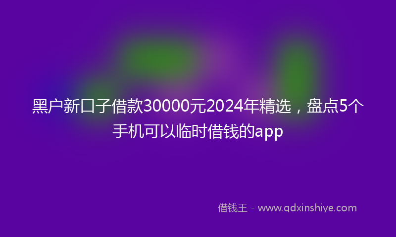 黑户新口子借款30000元2024年精选，盘点5个手机可以临时借钱的app