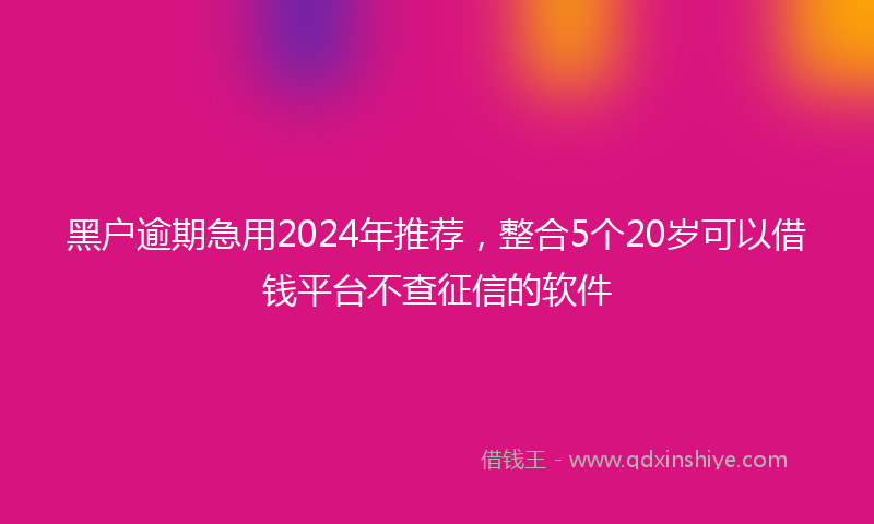黑户逾期急用2024年推荐，整合5个20岁可以借钱平台不查征信的软件