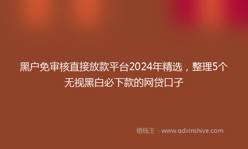 黑户免审核直接放款平台2024年精选，整理5个无视黑白必下款的网贷口子