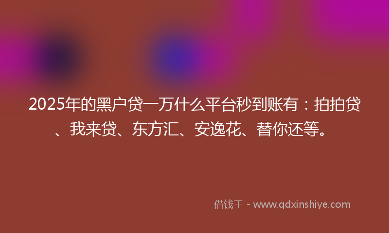 2025年的黑户贷一万什么平台秒到账有：拍拍贷、我来贷、东方汇、安逸花、替你还等。