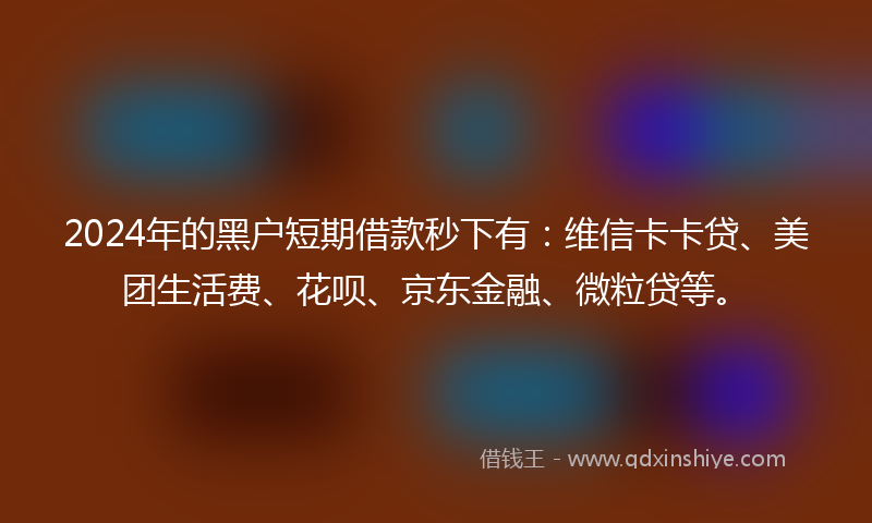 2024年的黑户短期借款秒下有：维信卡卡贷、美团生活费、花呗、京东金融、微粒贷等。