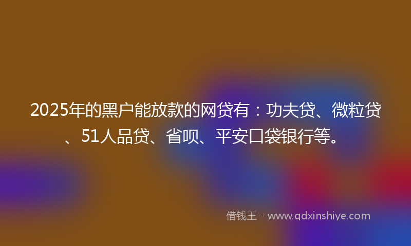 2025年的黑户能放款的网贷有：功夫贷、微粒贷、51人品贷、省呗、平安口袋银行等。