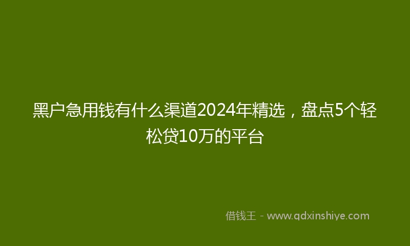 黑户急用钱有什么渠道2024年精选，盘点5个轻松贷10万的平台