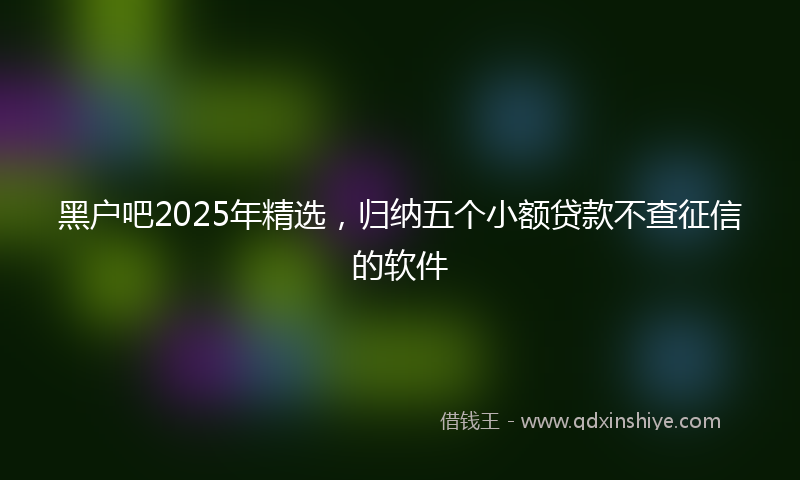 黑户吧2025年精选，归纳五个小额贷款不查征信的软件