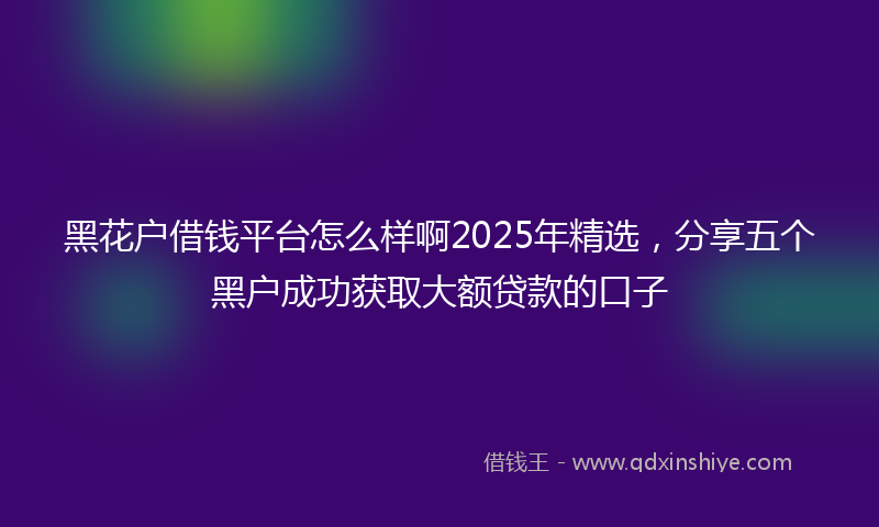 黑花户借钱平台怎么样啊2025年精选，分享五个黑户成功获取大额贷款的口子