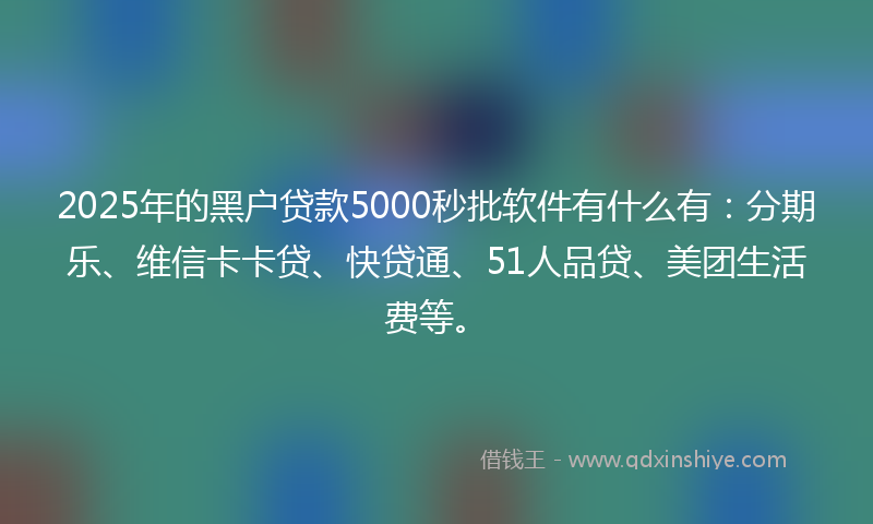 2025年的黑户贷款5000秒批软件有什么有：分期乐、维信卡卡贷、快贷通、51人品贷、美团生活费等。