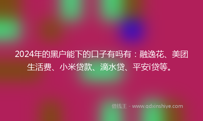2024年的黑户能下的口子有吗有：融逸花、美团生活费、小米贷款、滴水贷、平安i贷等。