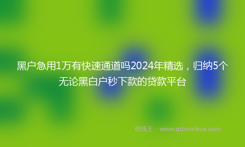 黑户急用1万有快速通道吗2024年精选，归纳5个无论黑白户秒下款的贷款平台